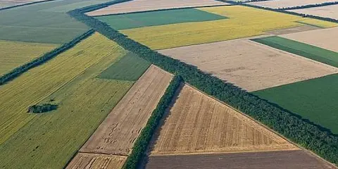 Landscape of Plains